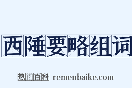 西陲要略组词是什么意思的图片